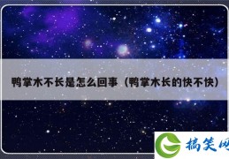 鸭掌木不长是怎么回事（鸭掌木长的快不快）