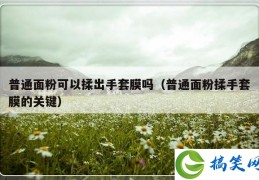 普通面粉可以揉出手套膜吗（普通面粉揉手套膜的关键）