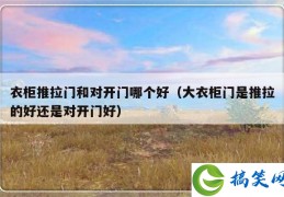 衣柜推拉门和对开门哪个好（大衣柜门是推拉的好还是对开门好）
