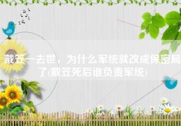 戴笠一去世，为什么军统就改成保密局了(戴笠死后谁负责军统)