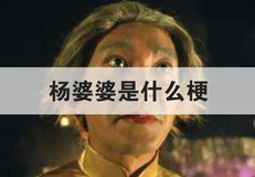 杨婆婆是什么梗(杨婆婆为什么是最厉害)