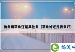 腌鱼用草鱼还是其他鱼（草鱼好还是青鱼好）