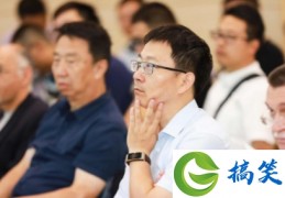 被领导说有个性是好是坏(领导说你单纯是好还是坏)